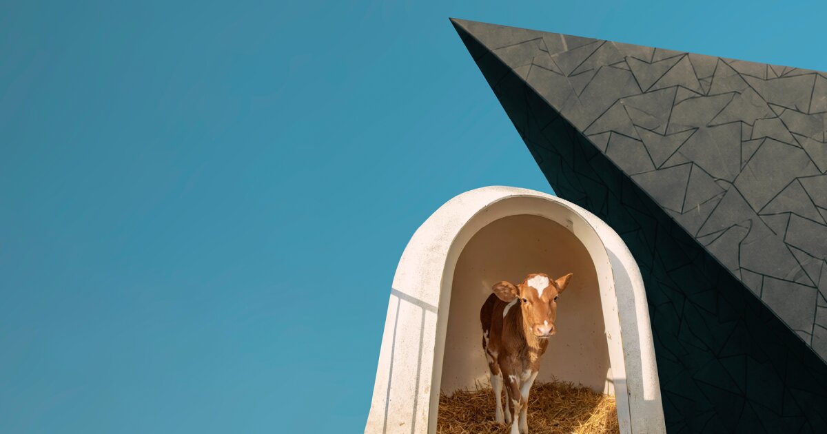 Screenshot or Official Image for tiroler-festspiele.at - Tiroler Festspiele Erl